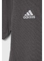 Dječja pamučna majica kratkih rukava adidas Performance ENT22 TEE Y boja: siva, s aplikacijom