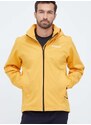 Kišna jakna adidas TERREX Multi RAIN.RDY za muškarce, boja: žuta