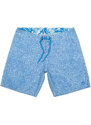 Panareha Men's Beach Shorts SAIREE blue