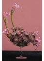 Držač za aranžiranje cvijeća kenzans Garden Glory Flower Frog S
