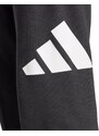 Adidas Muške hlače M BL FT PT Crna