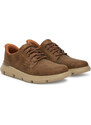 Tenisice Skechers