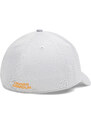 Men's cap Under Armour Blitzing Str
